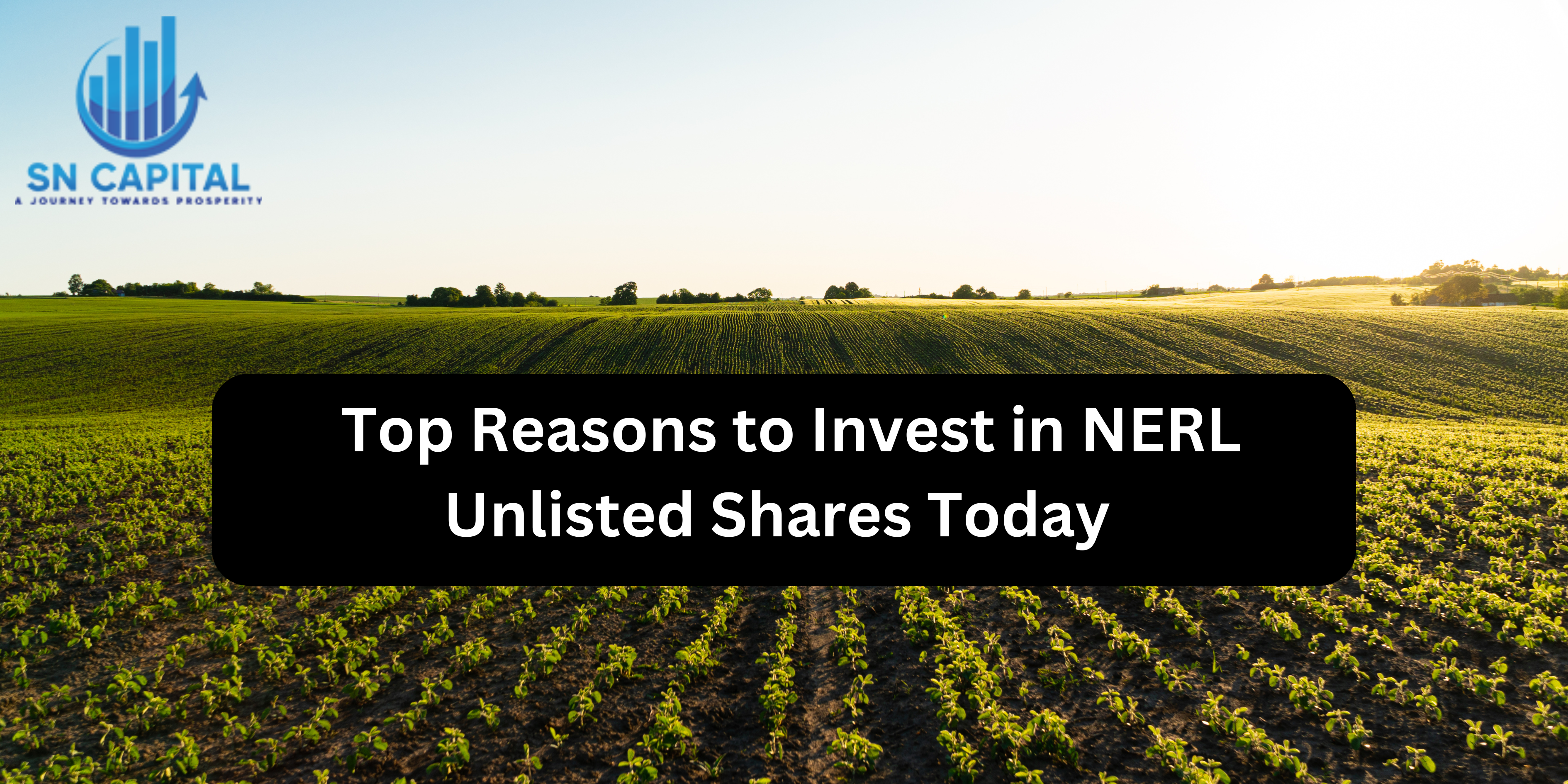 Top Reasons to Invest in NERL Unlisted Shares Today